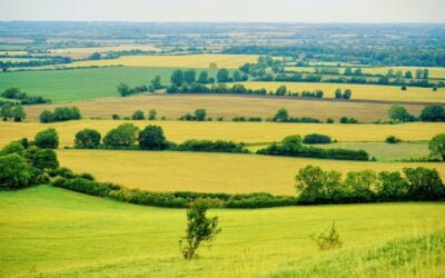 Thinking of Relocating To The Countryside? The Pros and Cons of Moving to the Countryside